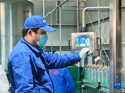 四季看新疆之走進口岸看新疆丨新疆巴克圖口岸 百年商埠煥新顏 對外開放譜新篇
